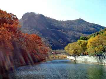 澳门二四六天天彩图库，水平仪型号